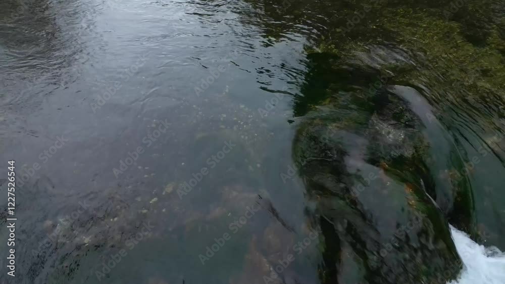 Ein wilder Bach in den bayerischen Alpen mit kristallklarem Wasser fliest über eine Felsstufe. Drohnenflug dicht über der Wasseroberfläche, 4K, Close-up