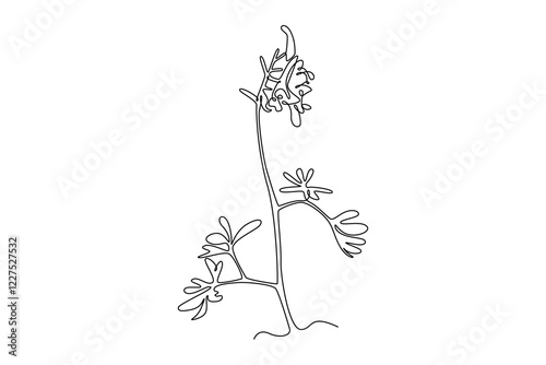 Single one line drawing of beauty fresh perennial herbaceous plant for wall art home decor poster print. Decorative corydalis flower card frame. Continuous line draw design graphic vector illustration