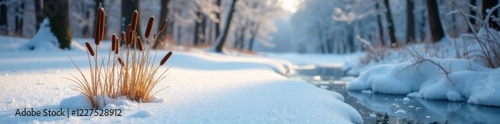 Snowy forest with isolated cattail frozen in ice, nature, plant, winter photo