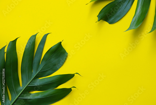 Green leaves on yellow background