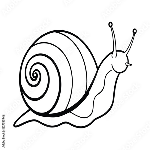 snail on a white