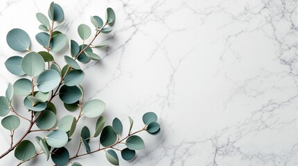 abstract floral background eucalyptus marble minimal design text space trendy