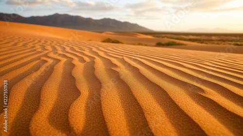 Foto Sand dunes, sunset over desert landscape with undulating patterns and warm colors, showcasing natures beauty and tranquility in arid regions and wilderness