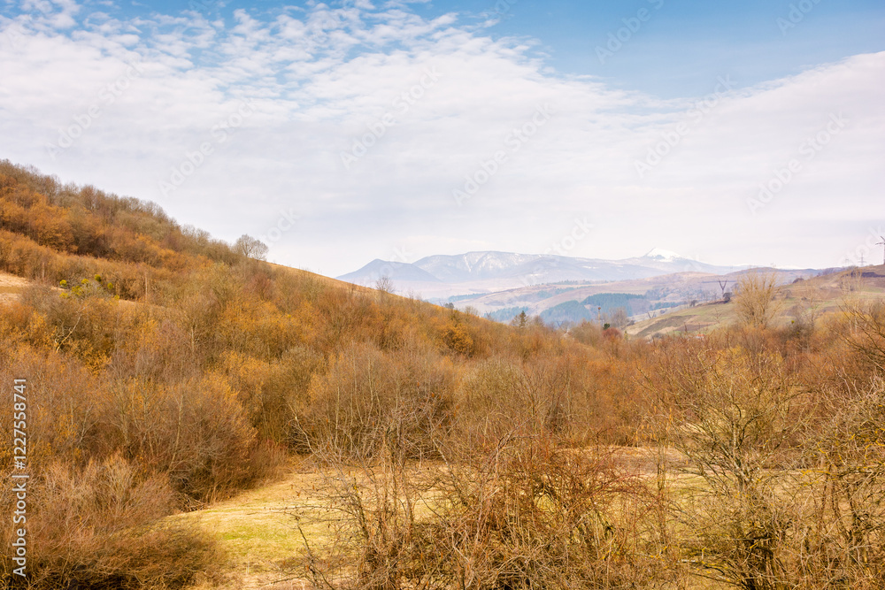 Fototapeta premium countryside scenery in march. natural environment. cloudy weather. forested carpathian mountain landscape in early spring. pikui peak of watershed ridge in the distance. season change