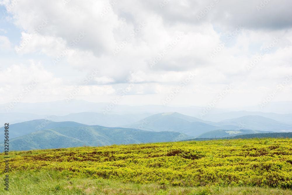 alpine meadow of mountain smooth in summer. outdoor adventure. cloudy weather. watershed ridge of ukrainian carpathians in the distance. spectacular scenery of place in transcarpathia alpine meadow of mountain smooth in summer. outdoor adventure. cloudy weather. watershed ridge of ukrainian carpathians in the distance. spectacular scenery of place in transcarpathia