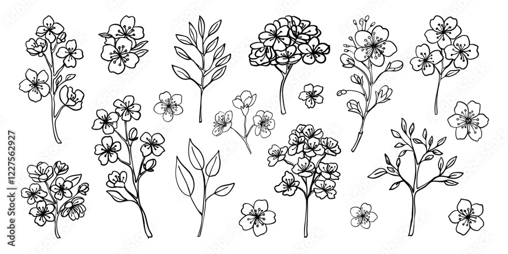 Fototapeta premium A collection of black and white drawings of flowers. The drawings are of various types of flowers, including roses, daisies, and lilies