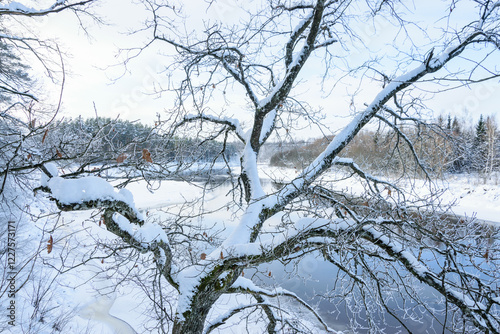 Gauja River Valley on a frosty winter day in Latvia.