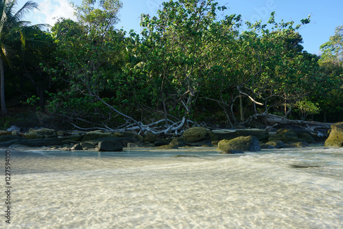 beach with palm trees, Koh Rong island, Cambodia photo