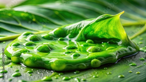 Green slime on a leaf surface in a humid environment, green, botanical, humidity photo