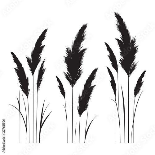 Pampas Grass Silhouette Set for Design