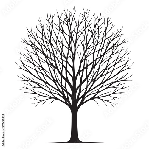 Detailed Silhouette of a Leafless Tree in Winter Setting