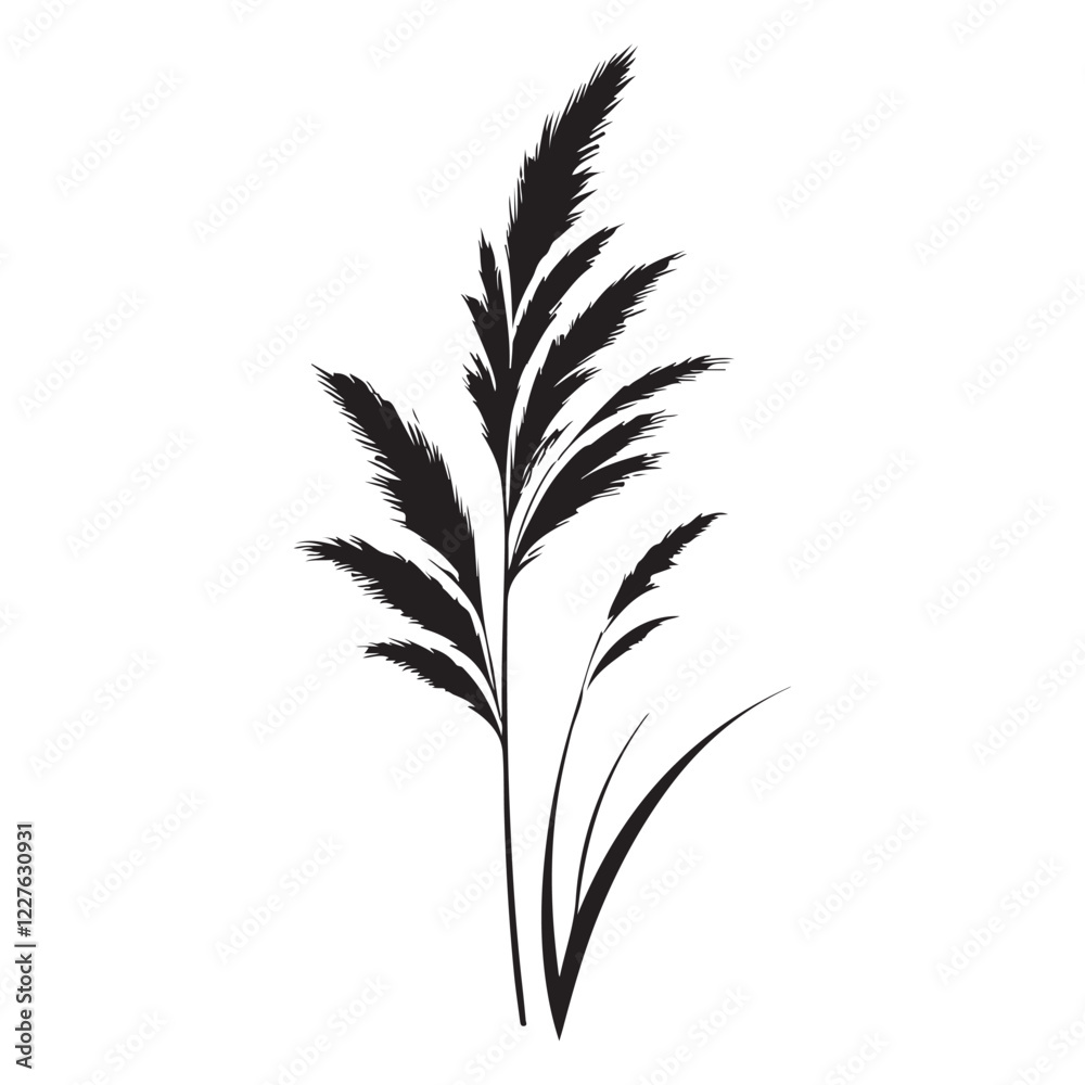 Obraz premium Ornamental Grass Silhouette Vector Illustration