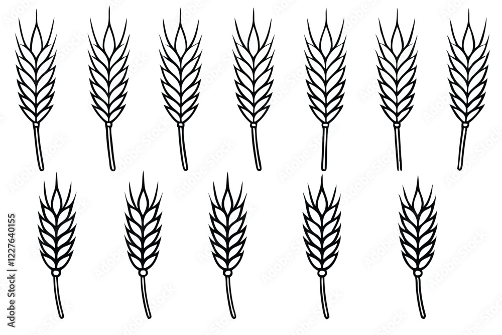 Wheat Processing Steps from Farm to Table Line Art Wheat Processing Steps from Farm to Table Line Art