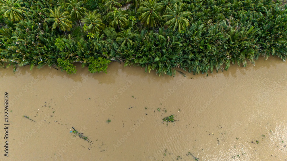 Aerial view of Vietnamese forest on the Mekong Delta, waterway surrounded by palm trees that extend to the horizon. Typical Vietnamese boats. Forest dwellings