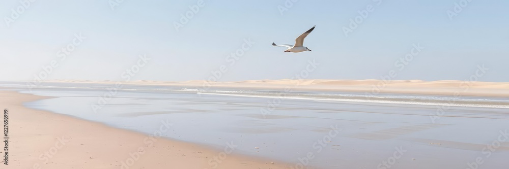 Naklejka premium Seagull flying over the vast expanse of a deserted beach, tranquil ocean, empty beach landscape, soaring seagull