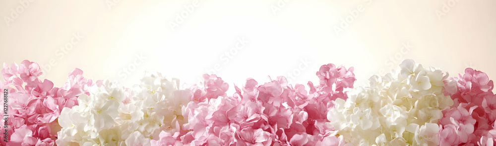 Pink, white flowers; soft background; greeting card Pink, white flowers; soft background; greeting card