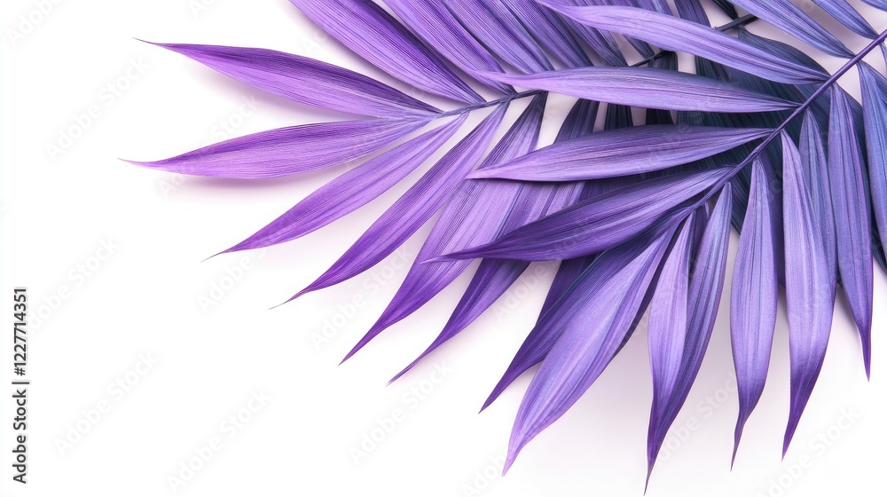 Purple tropical palm leaves elegantly arranged on a clean white background showcasing vibrant colors and natural beauty. Purple tropical palm leaves elegantly arranged on a clean white background showcasing vibrant colors and natural beauty.