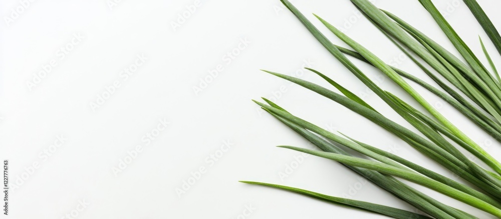 Naklejka premium Fresh Green Onions Isolated on White Background with Ample Copy Space for Culinary or Health Related Text
