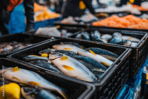 Selective focus fresh fish in tray in fish market, Close up shot fresh catch fish with ice.