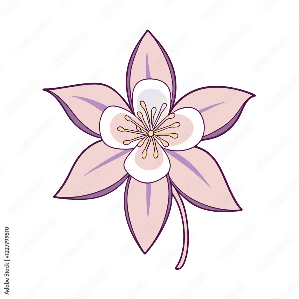 pink flower isolated on white background pink flower isolated on white background