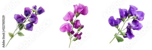 Set of A bouquet of vibrant sweet peas in shades of pink, lavender, and white, carefully arranged and isolated on transparent png background. Ai generated
