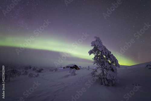 Northern lights in Pallas Yllastunturi National Park, Lapland, Finland photo