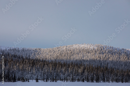 Winter landscape in Pallas Yllastunturi National Park, Lapland, Finland photo