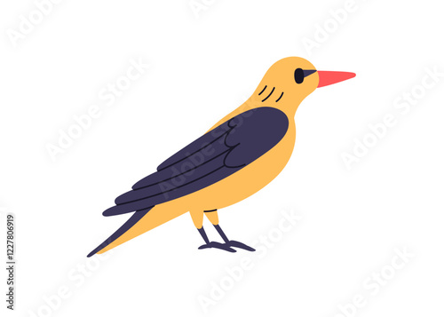 Golden oriole, Eurasian bird profile. Feathered male animal with folded wings, beak, bicolor plumage. Wild forest character. Flat graphic vector illustration isolated on white background