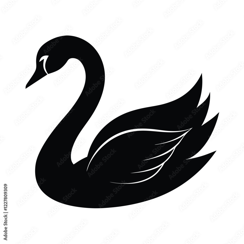 black swan vector black swan vector