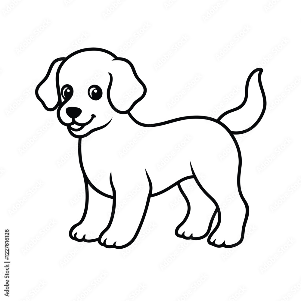 puppy on a white background puppy on a white background