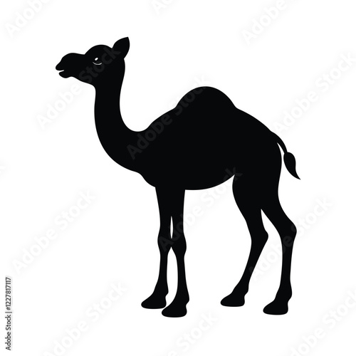camel in the desert