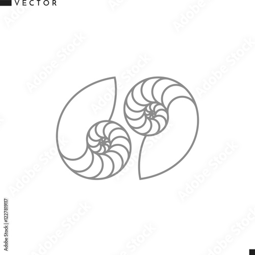 Nautilus shell vector illustration 