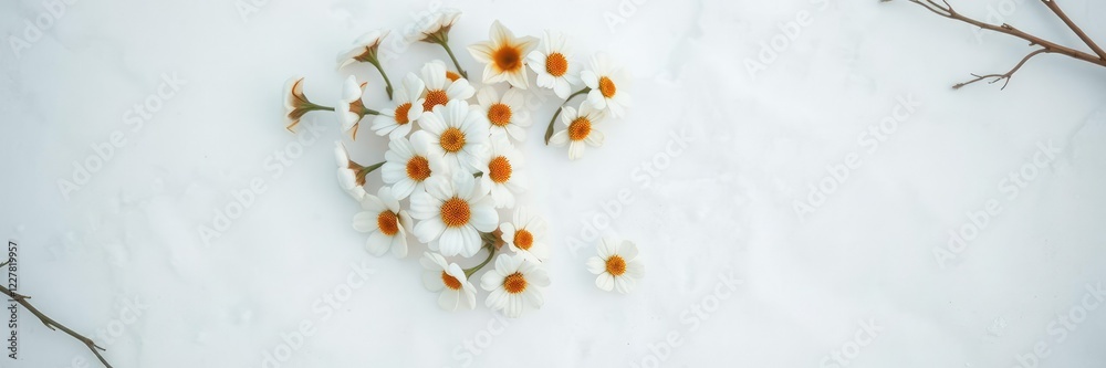 Fototapeta premium Softly arranged white and gold cotton flowers in a circular pattern on a pristine snowy surface, snow covered background, snowy landscape