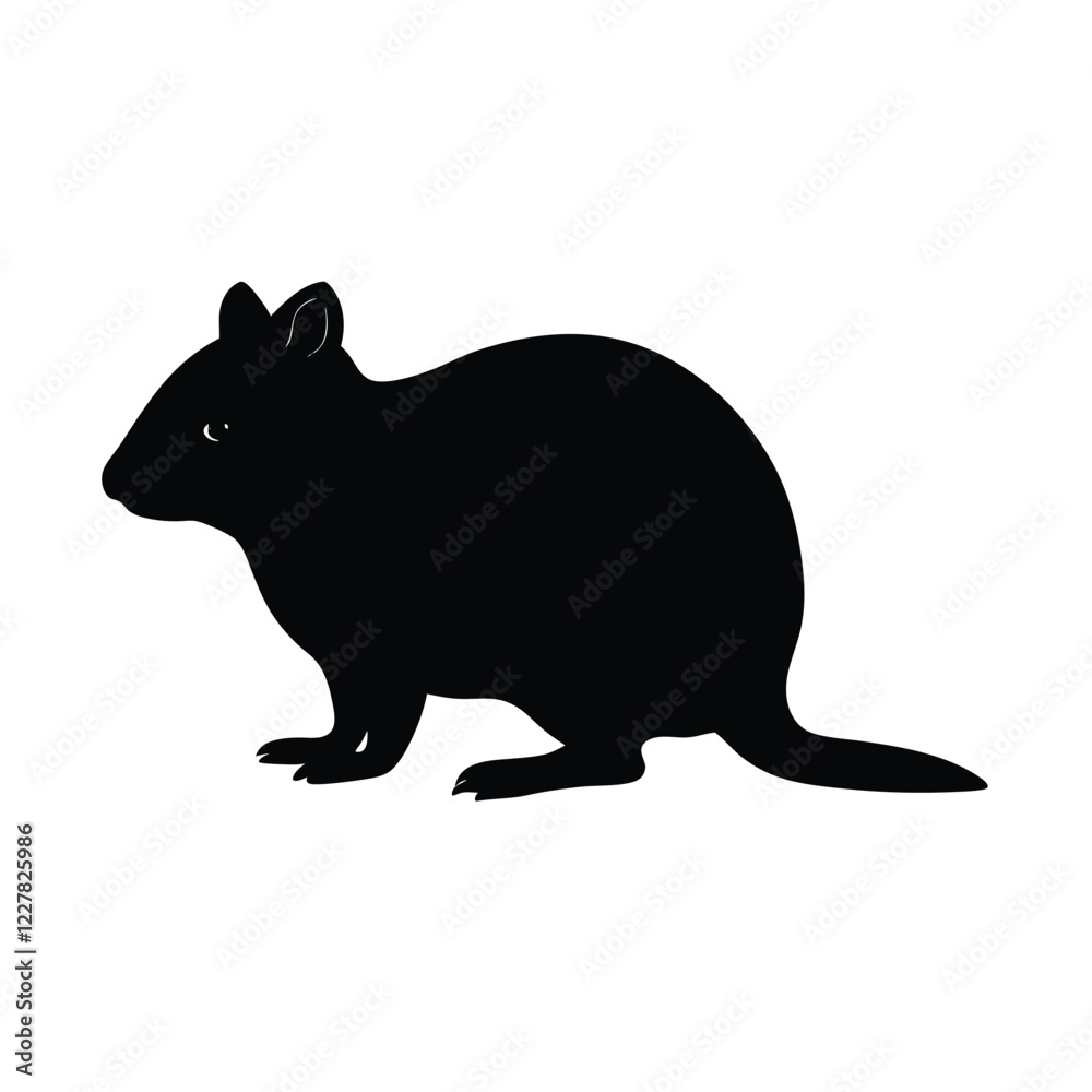 Obraz premium silhouette of a mouse