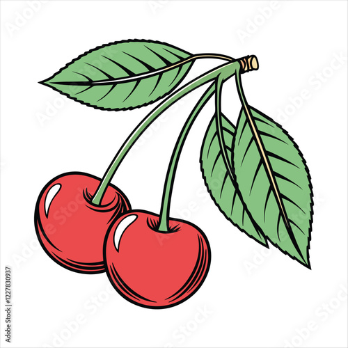 Cherry fruit vector art illustration