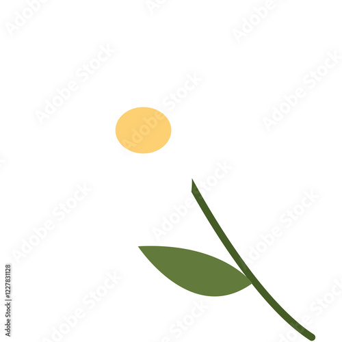 Hand drawn pretty daisy flower illustration. Botanical clipart.