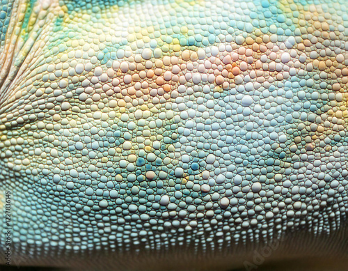 A lizard's tail with a blue and green pattern. The pattern is made up of small dots