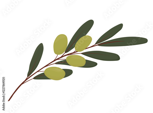 Olive vector stock illustration. Green berries of the olive tree. fruits on branches. oil. isolated on a white background. Logo