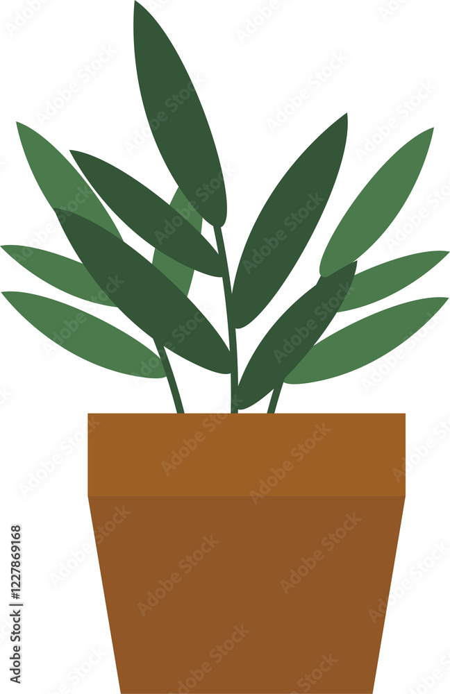 plant in a pot leaf