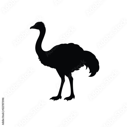 ostrich silhouette isolated on white background
