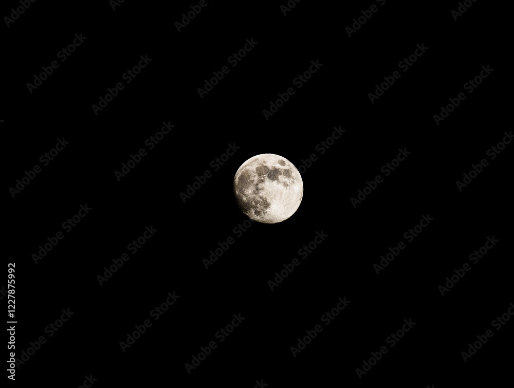 Fototapeta premium Full moon on a dark winter night.