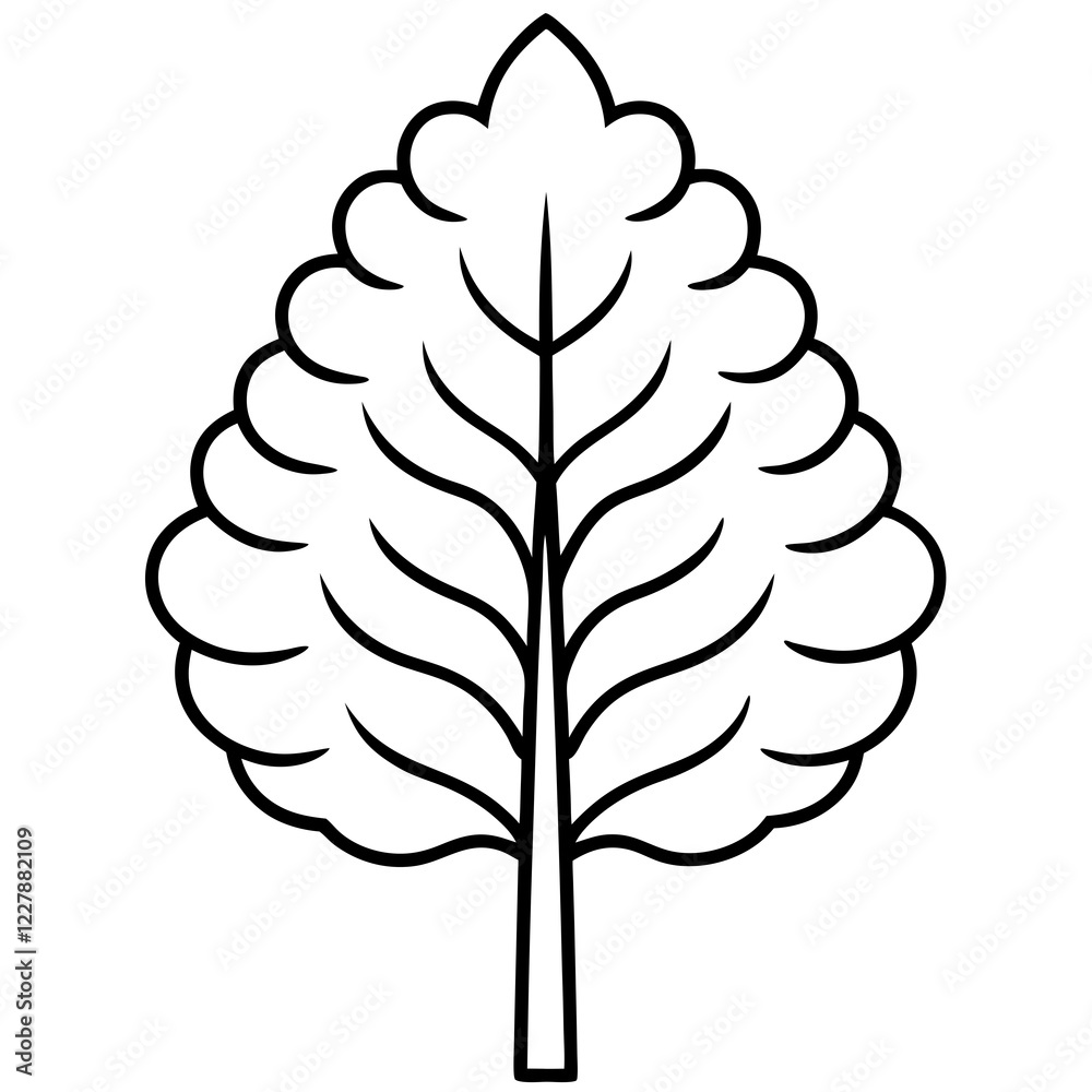 kauri tree line art vector illustration kauri tree line art vector illustration