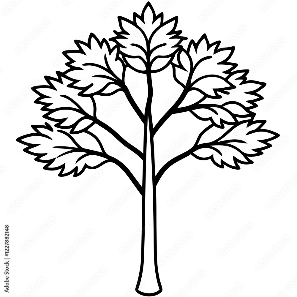 Obraz premium Chilean myrtle tree line art vector illustration 