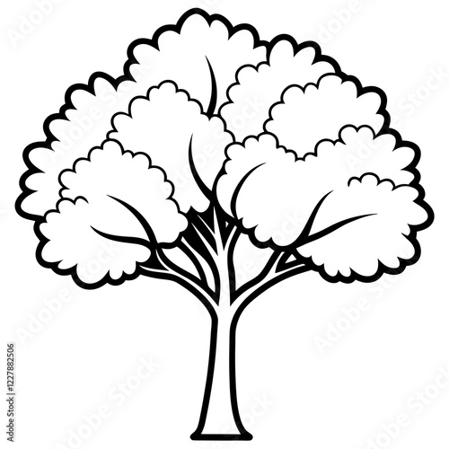 American elm tree line art vector illustration 