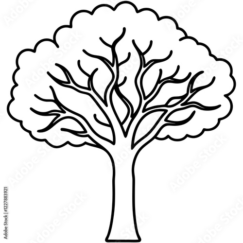 silk floss tree line art vector illustration 