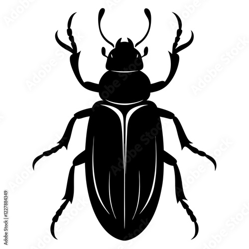 stag beetle illustration