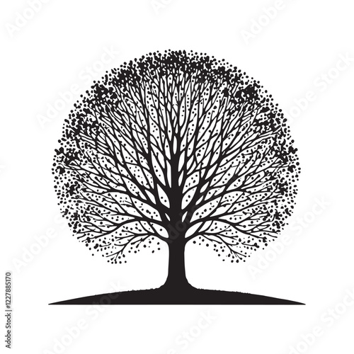 Beech Tree silhouette creating a bold and striking visual impact - Beech tree silhouette - Beech tree vector - Beech tree illustration - Beech silhouette - Beech vector
