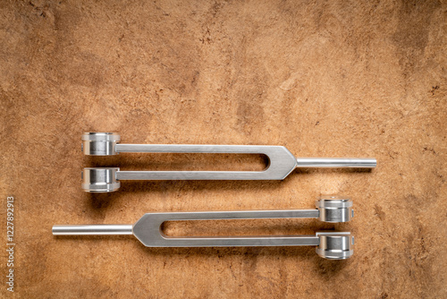 weighted metal tuning forks used for tuning musical instruments, sound therapy, chakra healing or relaxation