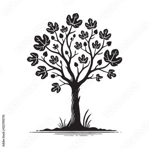 Unique Fig Tree silhouette with flowing branches and dense foliage - Fig tree silhouette - Fig tree vector - Fig tree illustration - Fig silhouette - Fig vector
