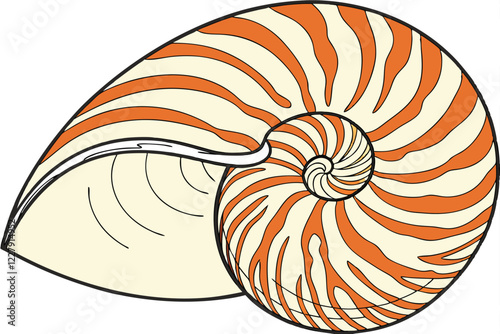 Seashell, spiral pattern, nautilus shell, orange and white stripes, natural texture, marine life, detailed close-up, high contrast, smooth surface, mathematical perfection, Fibonacci sequence, beach t